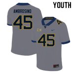 Youth West Virginia Mountaineers NCAA #45 Derek Ambrosino Gray Authentic Nike Stitched College Football Jersey FK15B68LN